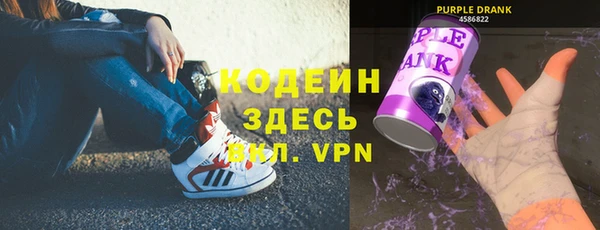 шишки Абаза