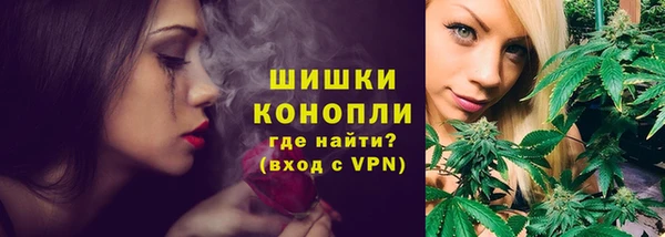 шишки Абаза