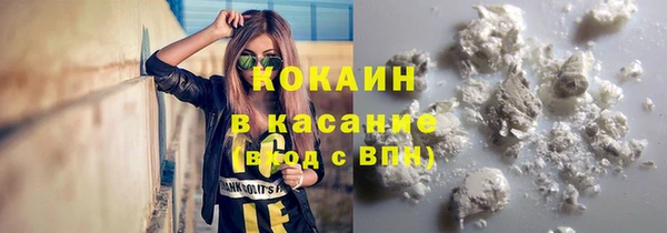стаф Абинск