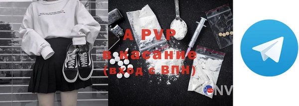 шишки Абаза