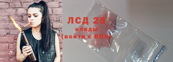 стаф Абинск