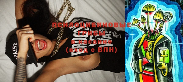 шишки Абаза