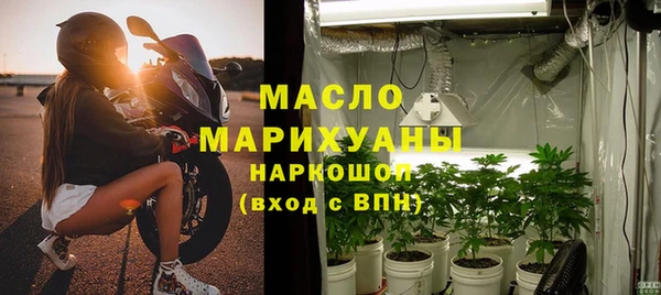шишки Абаза