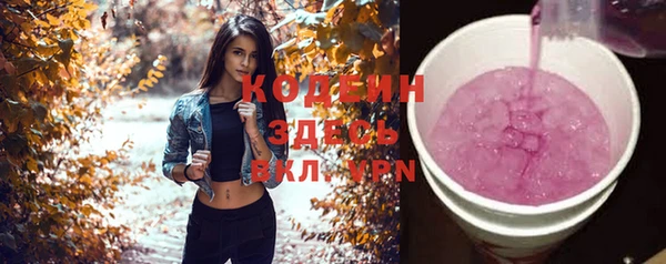 шишки Абаза