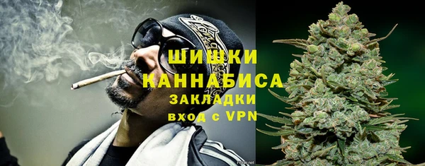 шишки Абаза