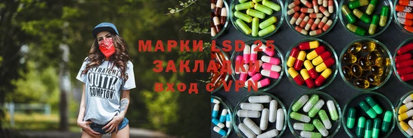 шишки Абаза