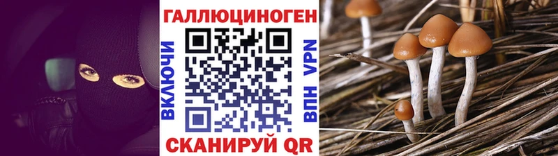 купить цена blacksprut как зайти Псилоцибиновые грибы ЛСД Железноводск